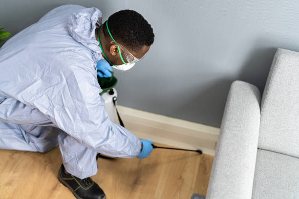 Best Pest Control for Hotels  in Edcouch, TX